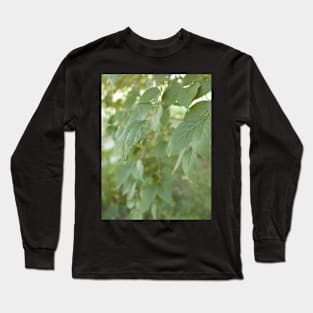 Pastel green leaves Long Sleeve T-Shirt